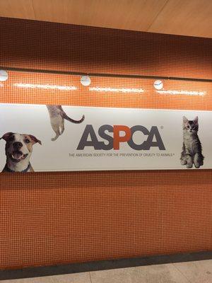 Aspca