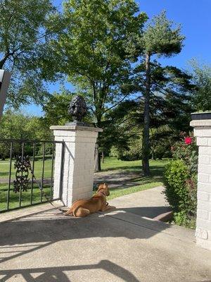 Relaxing after his visit