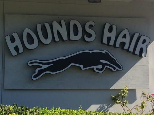 Hounds Hair pet groomers