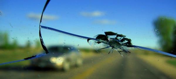 Auto glass repair, replacement and window tinting.