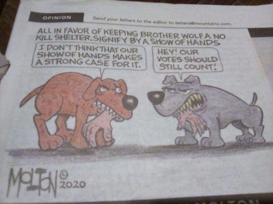 Disgustingly cartoon ran in the Mountain Xpress