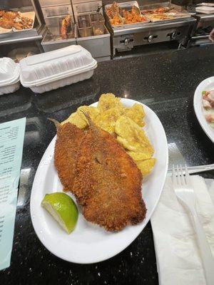 Filete de Pescado Frito/ Fillet Of Whitting Fish with plantains