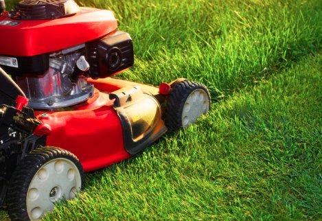 Lawn mowing services
Weeding services
Trimming services
Planting services
Call us Today!
(609) 339-4824