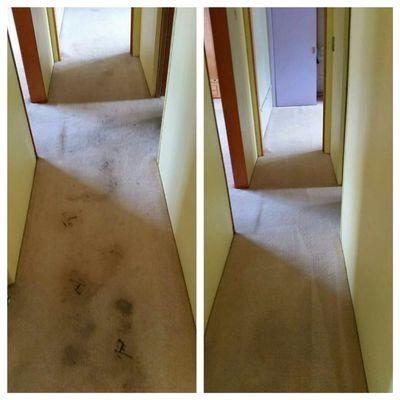 Before and After - roofing tar tracked onto the carpet