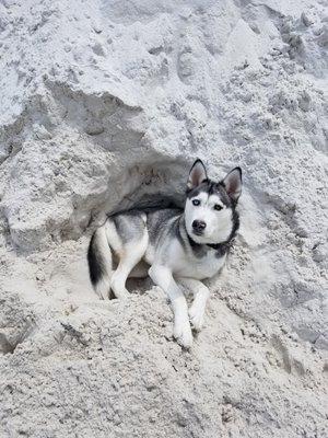 White sand is also a great choice for cooling off in the Florida heat