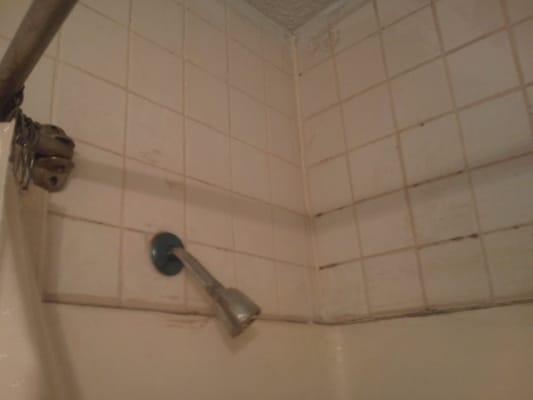 moldy shower.