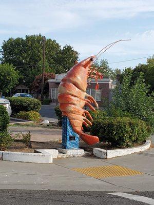 Shrimp outside the trailer