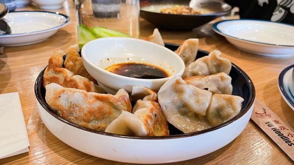 pan fried dumplings