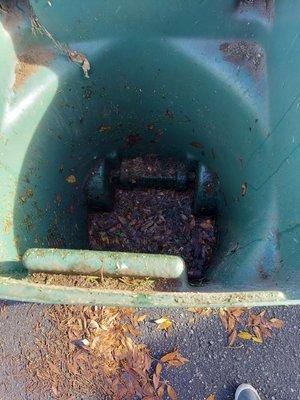 Before and after shots, it is amazing and satisfying how clean your bins can be like this !