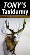 Tony's Taxidermy