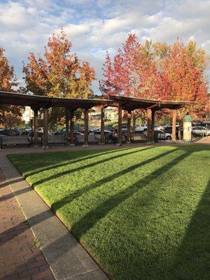 Large grassy area with park benches