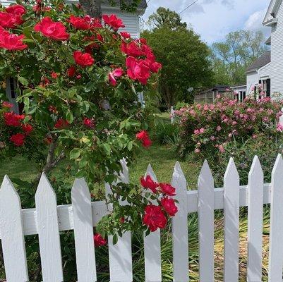 Blooms and Brushes is June 3rd. Onancock Va