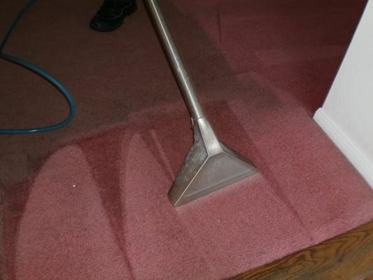 Carpet Cleaning