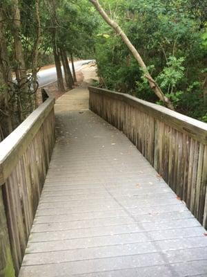 Shoreline Park paths