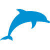 Dolphin Bail Bonds