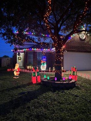 Christmas Wonder Lights