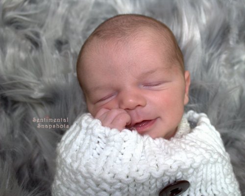 Sweet Potato Newborn