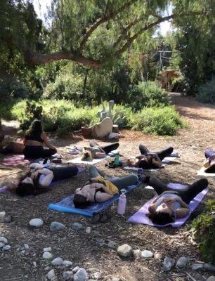 Yoga in the park