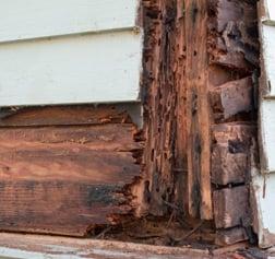 We are licensed general contractors so we can take care of any termite repairs you may need