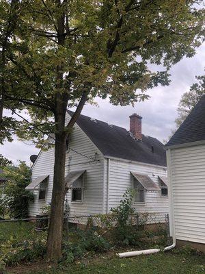 Tree trimmed away from the houses