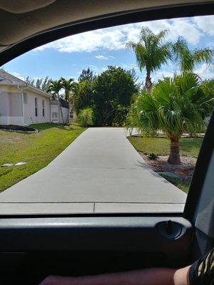 Trees Trimmed, And Driveway Pressure Wash!