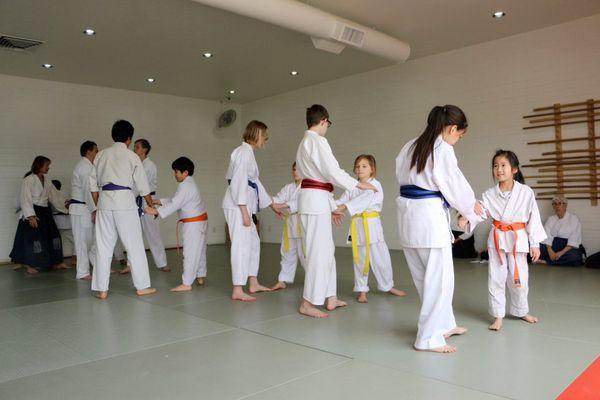 AikidoKids! Multi-age and level working together