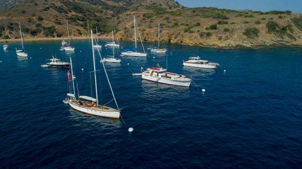 LA Yacht Club Members' moorings in Howland's Landing, Catalina Island.