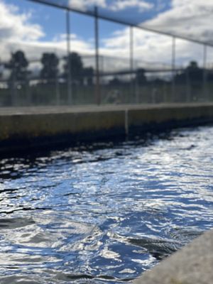 San Joaquin Fish Hatchery