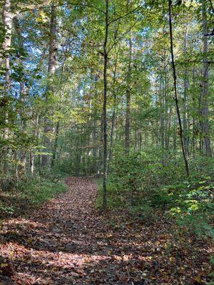 Johnston Mill Nature Preserve