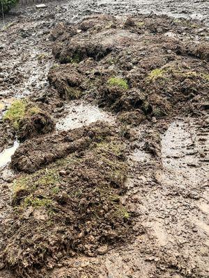 owner forced to pay a second time to have sod removed and yard re-graded