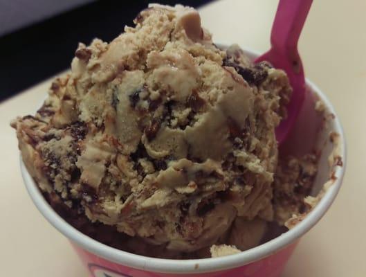 Jamoca Almond Fudge Ice Cream: Blend of coffee ice cream, roasted almonds, and a chocolate ribbon