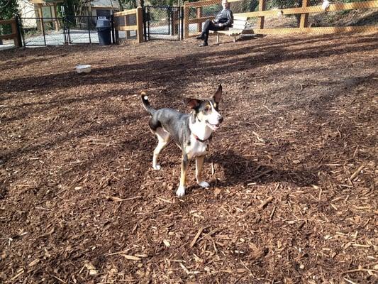 Playing in the sun!