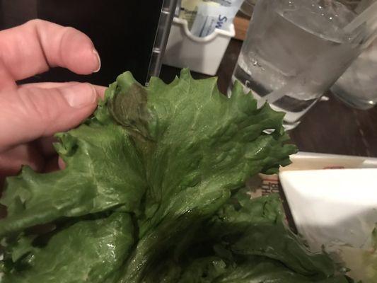 Mold on lettuce I got instead of bun