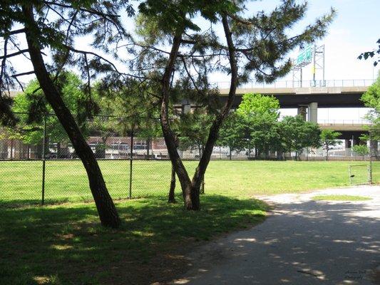 Open space for playing lacrosse, football, or other sports.