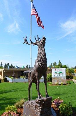 Choice signature elk and sign, street view