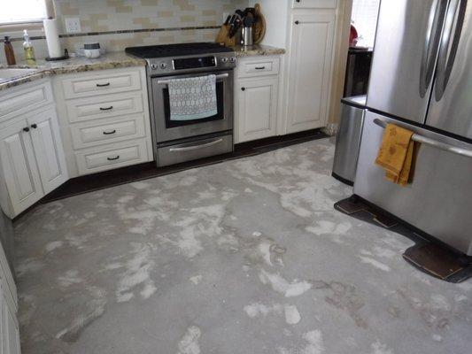 Here you can see after we removed the water damaged wood floors, the water had also penetrated the concrete below.