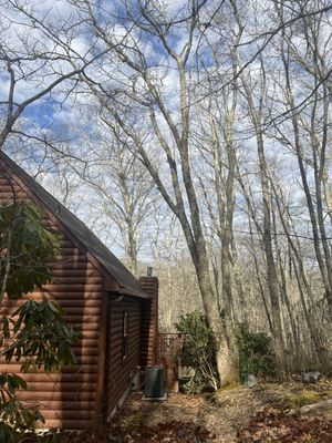 Tree leaning way way over dudes house.