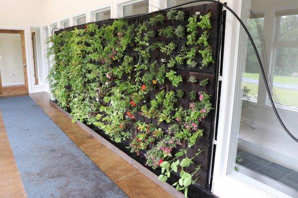 Edible Living Wall. It has everything from cucumbers to thyme.