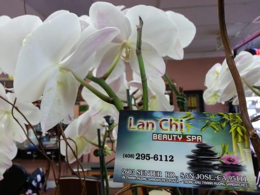 Lan Chi Beauty Spa
Hair Nail Facial Massage