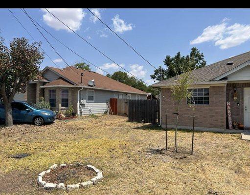 Tree in between cable lined removed replaced with 15 gallon live oak