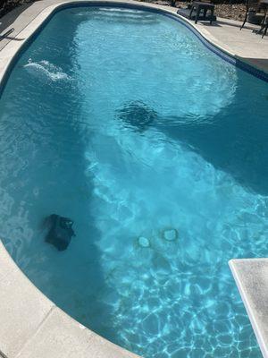 Went out and got supplies and now this is how my pool looks