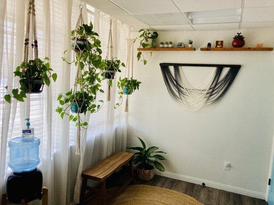 Front lobby of North Star Bodywork Massage Studio, we love plants and the energy they bring into a space!