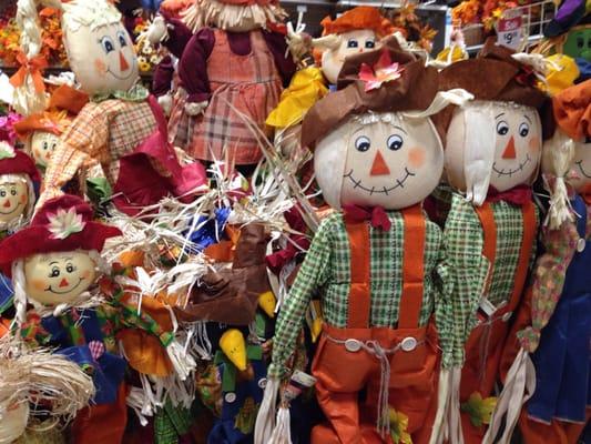 scarecrows galore!