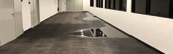 Water Damage at commercial site from burst pipe in ceiling.