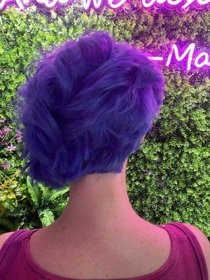 All color services provided and Fun, Funky & punky styles too!