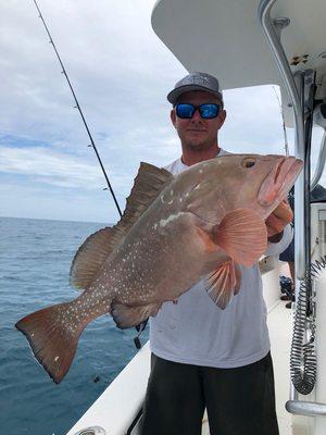 Red grouper