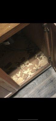 The cabinet under the sink