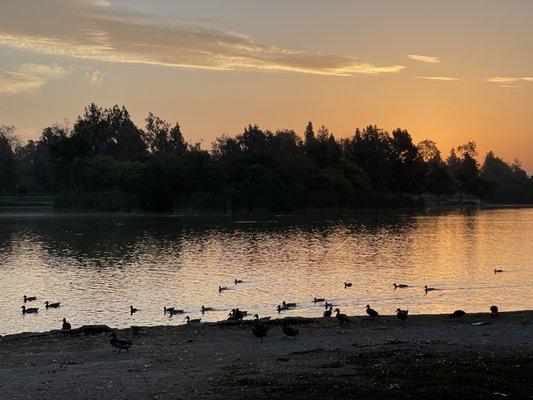 Legg Lake Park