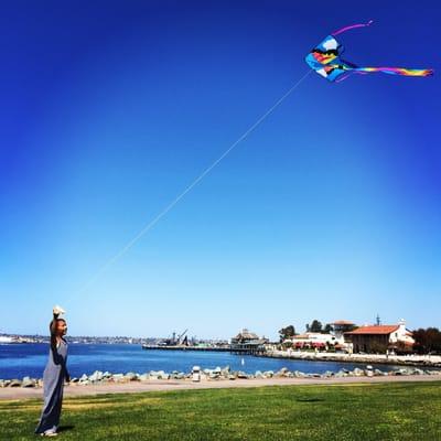 Most popular kite $29 very easy to fly!