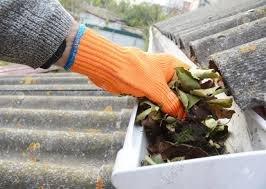 Gutter Cleaning